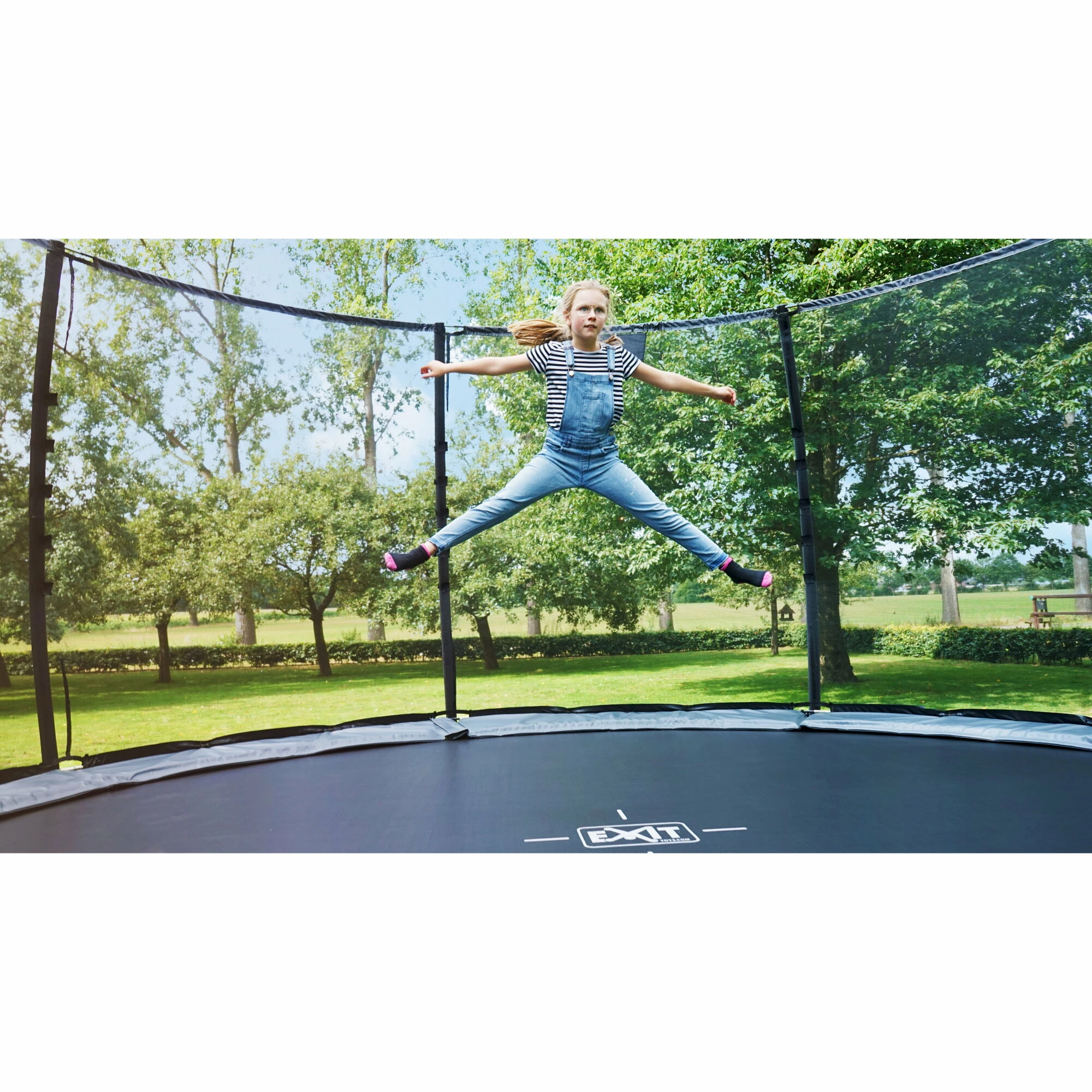 EXIT TOYS EXIT Elegant Trampoline ø427cm Met Economy Veiligheidsnet - Zwart 13 EXIT TOYS EXIT Elegant Trampoline ø427cm Met Economy Veiligheidsnet - Zwart - Afbeelding 13